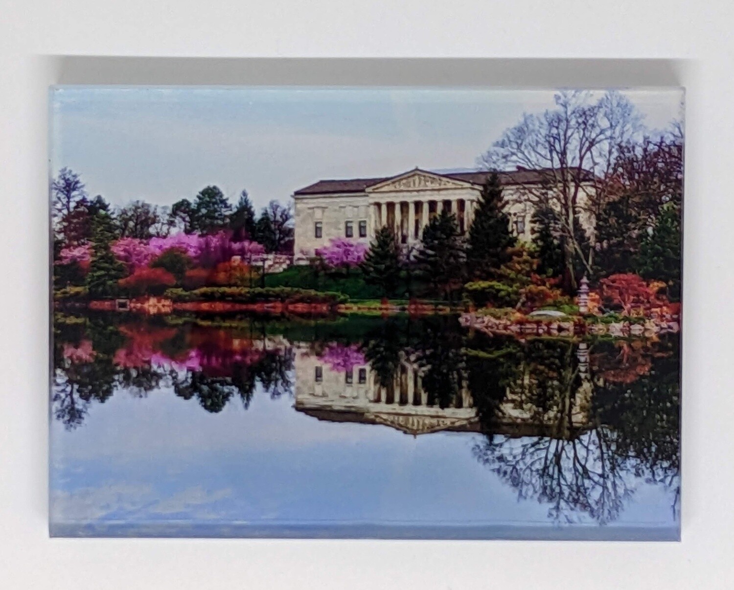 Buffalo History Museum Cherry Blossom Magnet