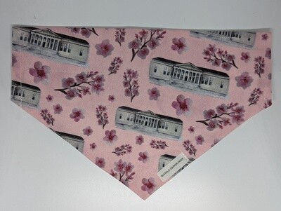 Over the Collar Bandana