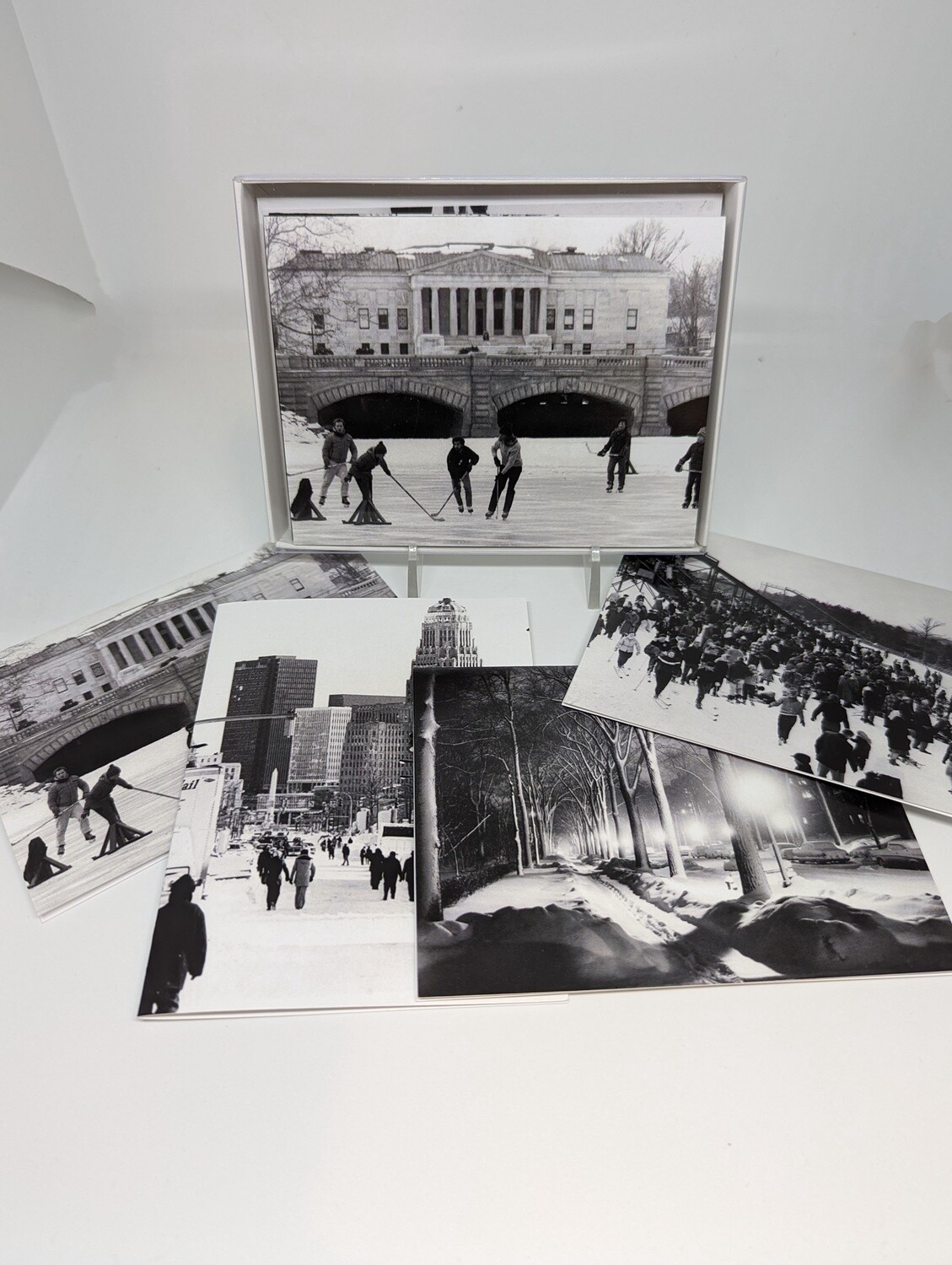 Winter in Buffalo Card Set