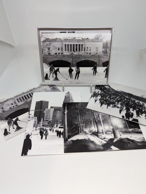 Winter in Buffalo Card Set