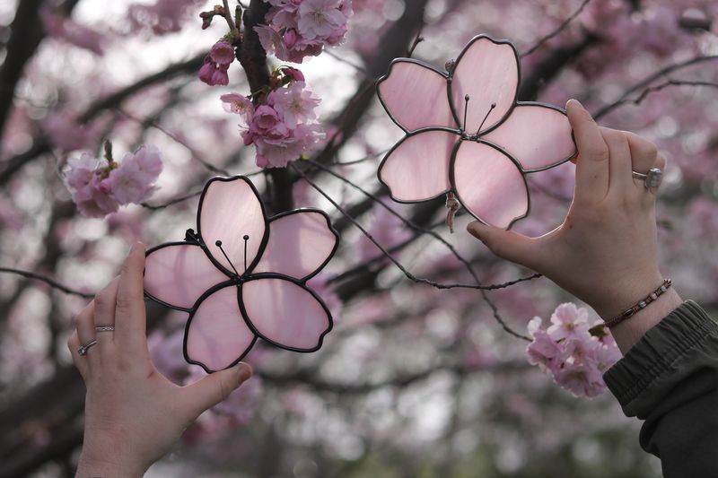 Cherry Blossom Stained Glass