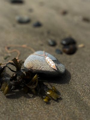 Sea Beauty Sweet Pea Necklace