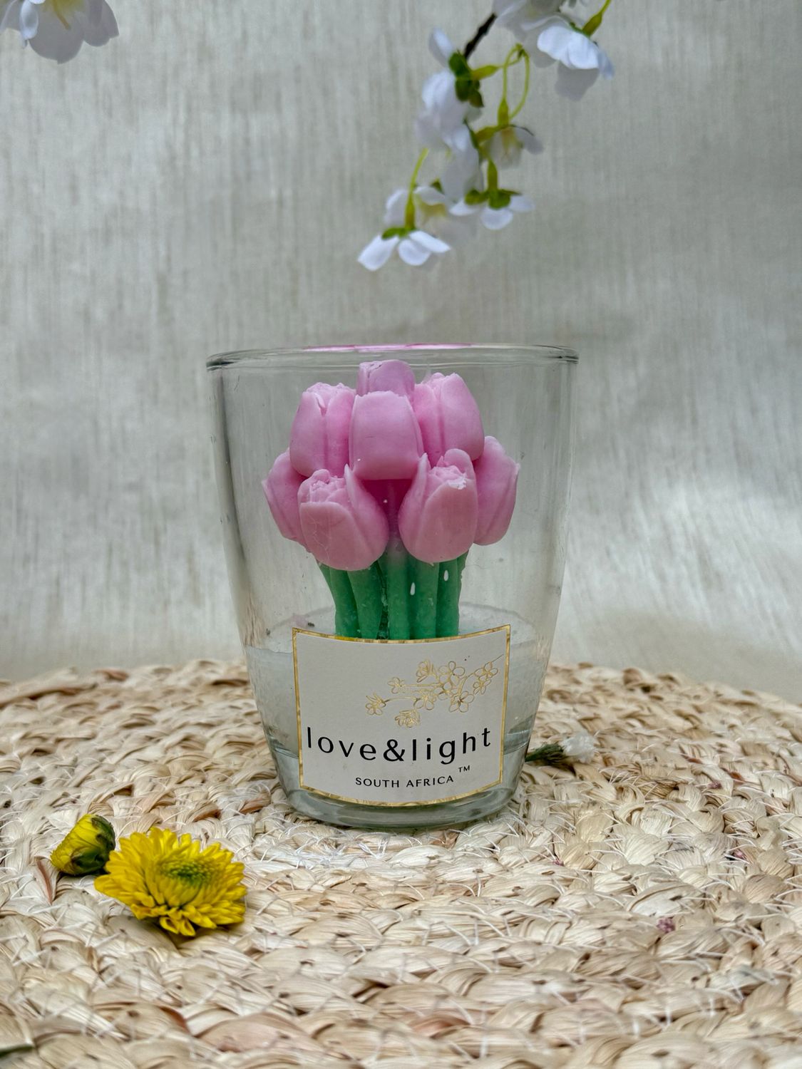 Mother's Day Pink Tulip - Jasmine