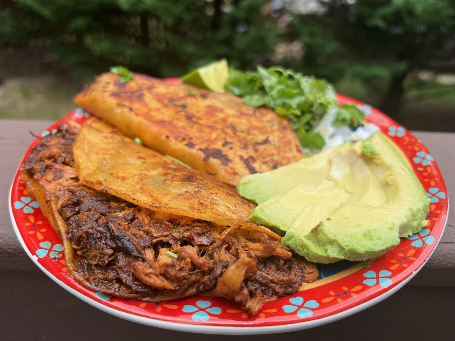 Birria Chili Spice Kit