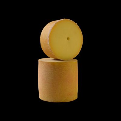 Téte de Moine am Stück