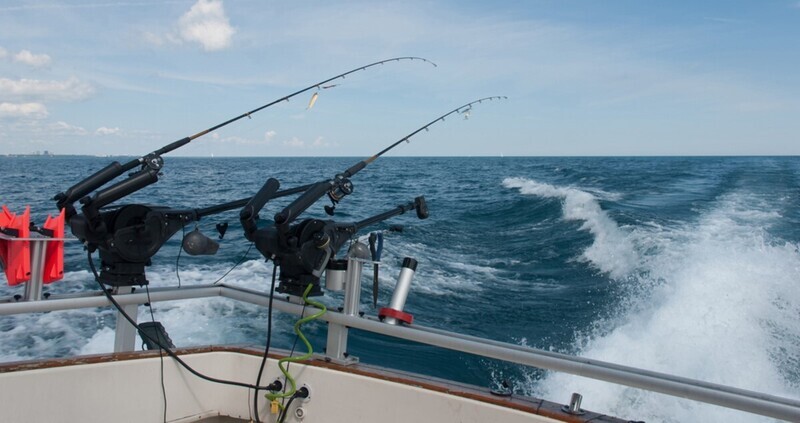 okuma cedros surf rod Cedros Surf CSX Rod