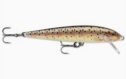 RapalaF09TR brown trout