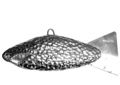 Chrome shark 10 pound