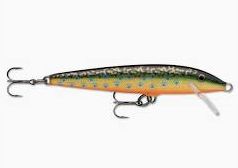 Rapala F09BTR Brook Trout