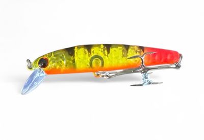 Baby Renosky Antifreeze Orange Tiger UV