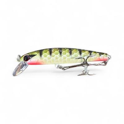 Baby Renosky Perch