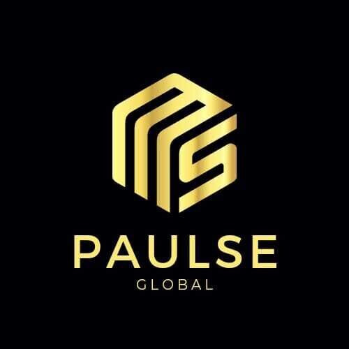 DreamVibes by Paulse