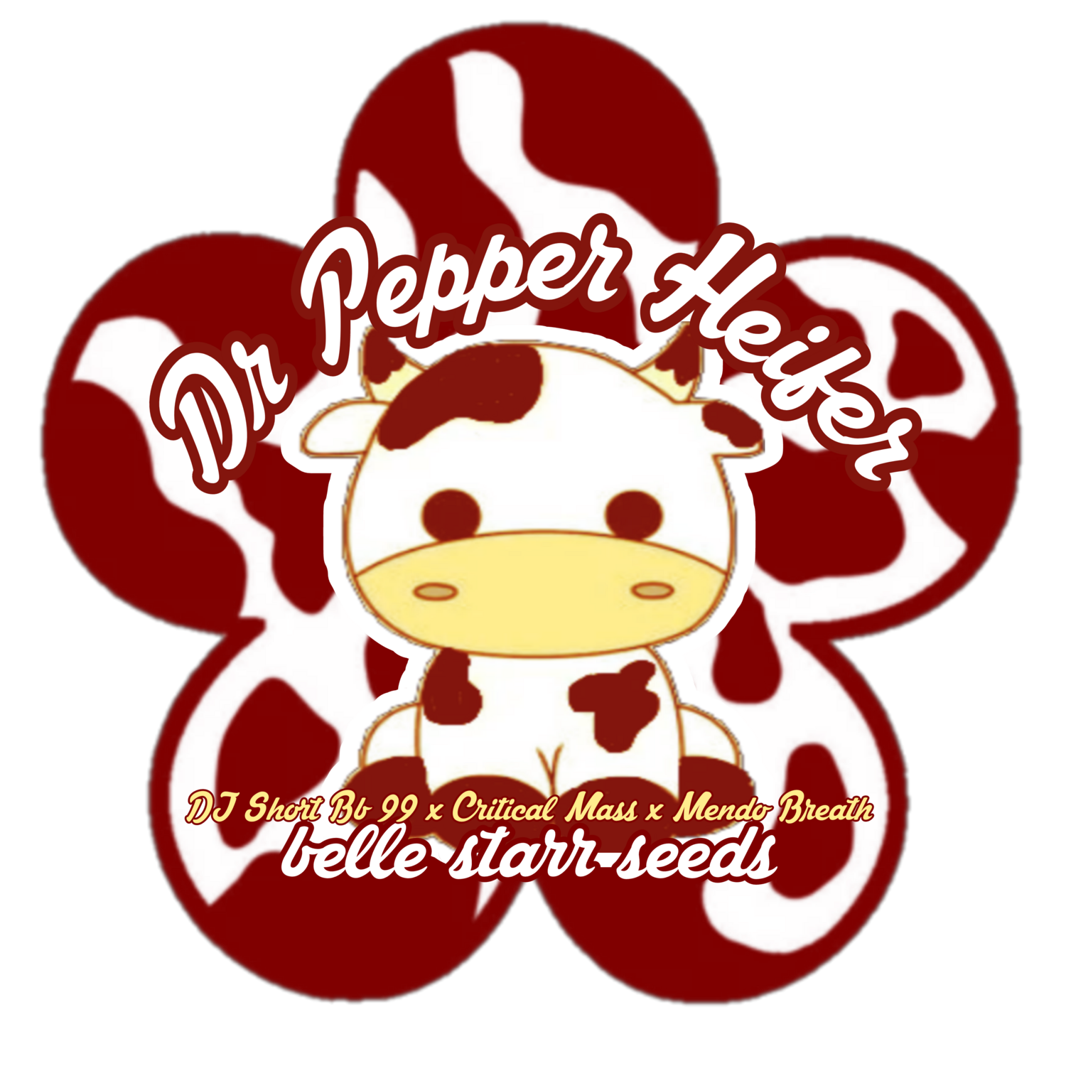 Dr Pepper Heifer