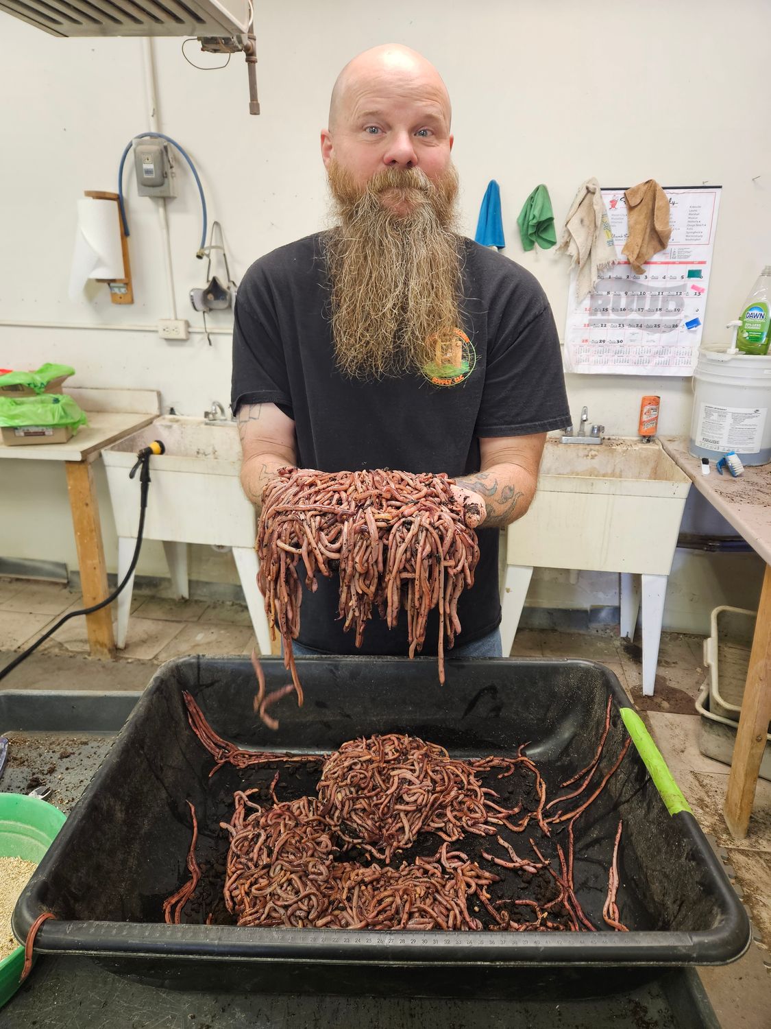 Special 5 pound order of reds