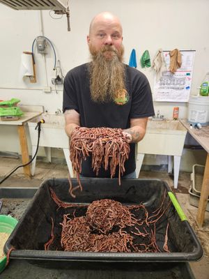 Special 5 pound order of reds