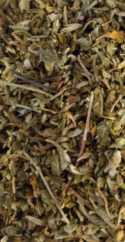 Damiana