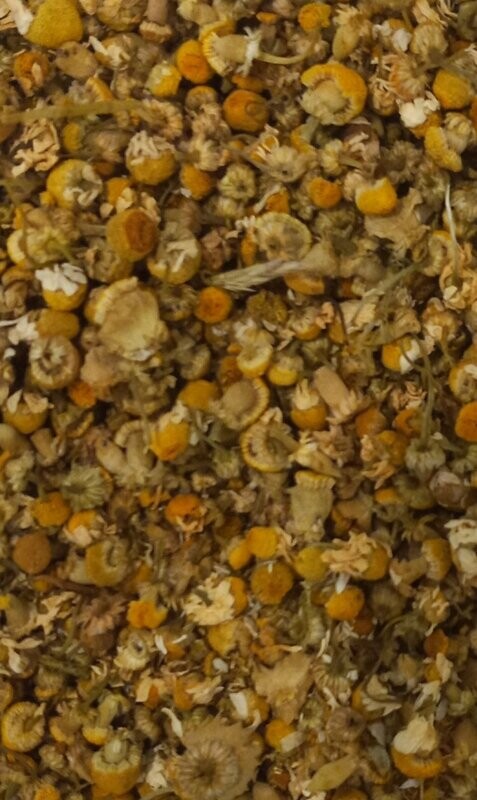 Chamomile, Organic
