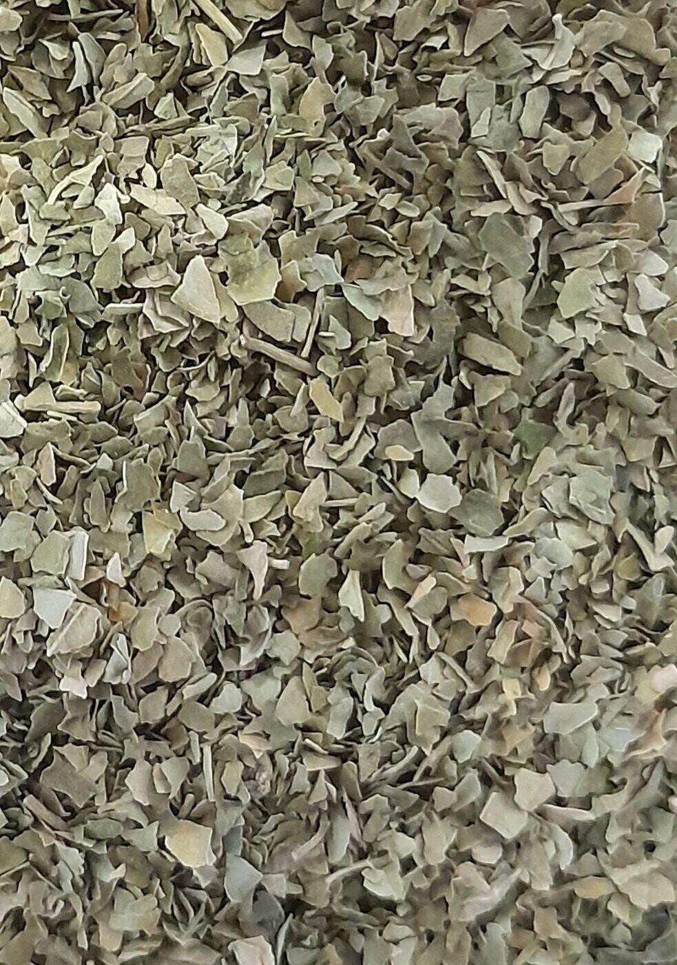 Moringa Leaf, Organic
