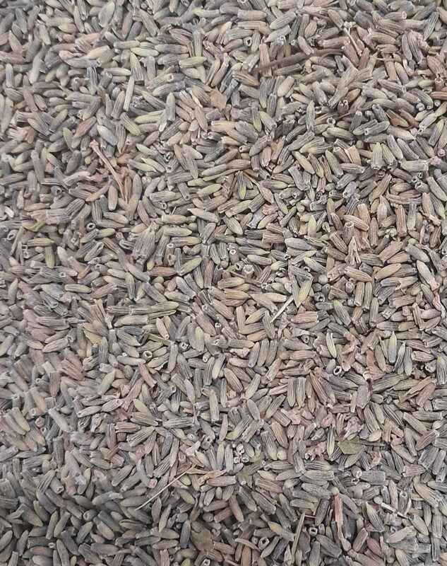 Lavender, Organic