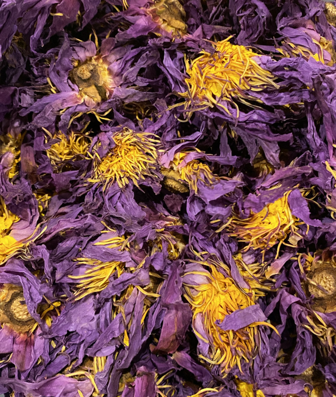 Blue Lotus Flower, organic