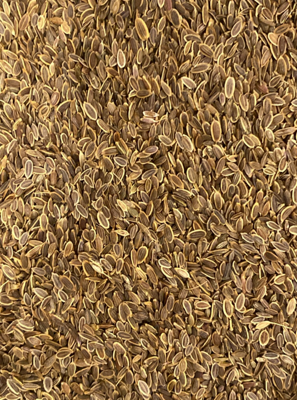 Dill Seed