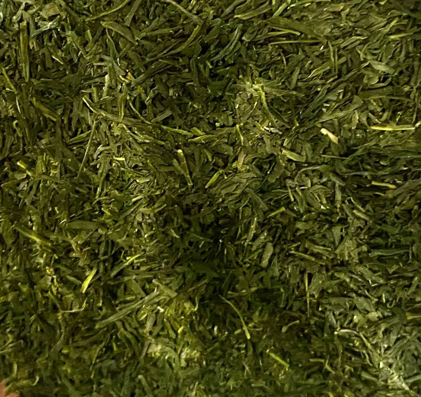Sencha Tenkaichi