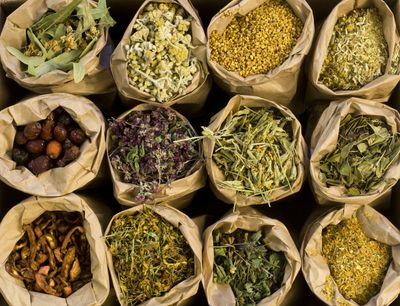 Medicinal Herbs