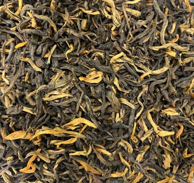 Yunnan