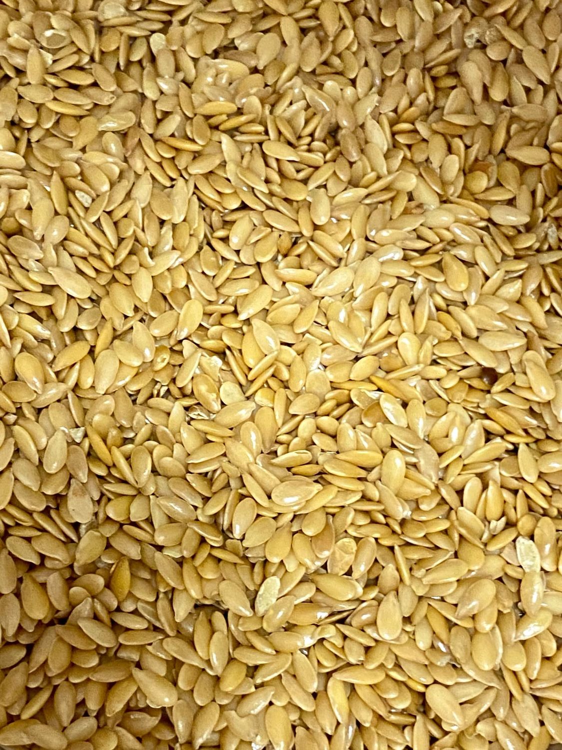 Golden Flax Seeds, Organic