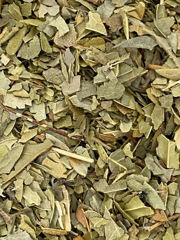 Boldo Leaf, Organic