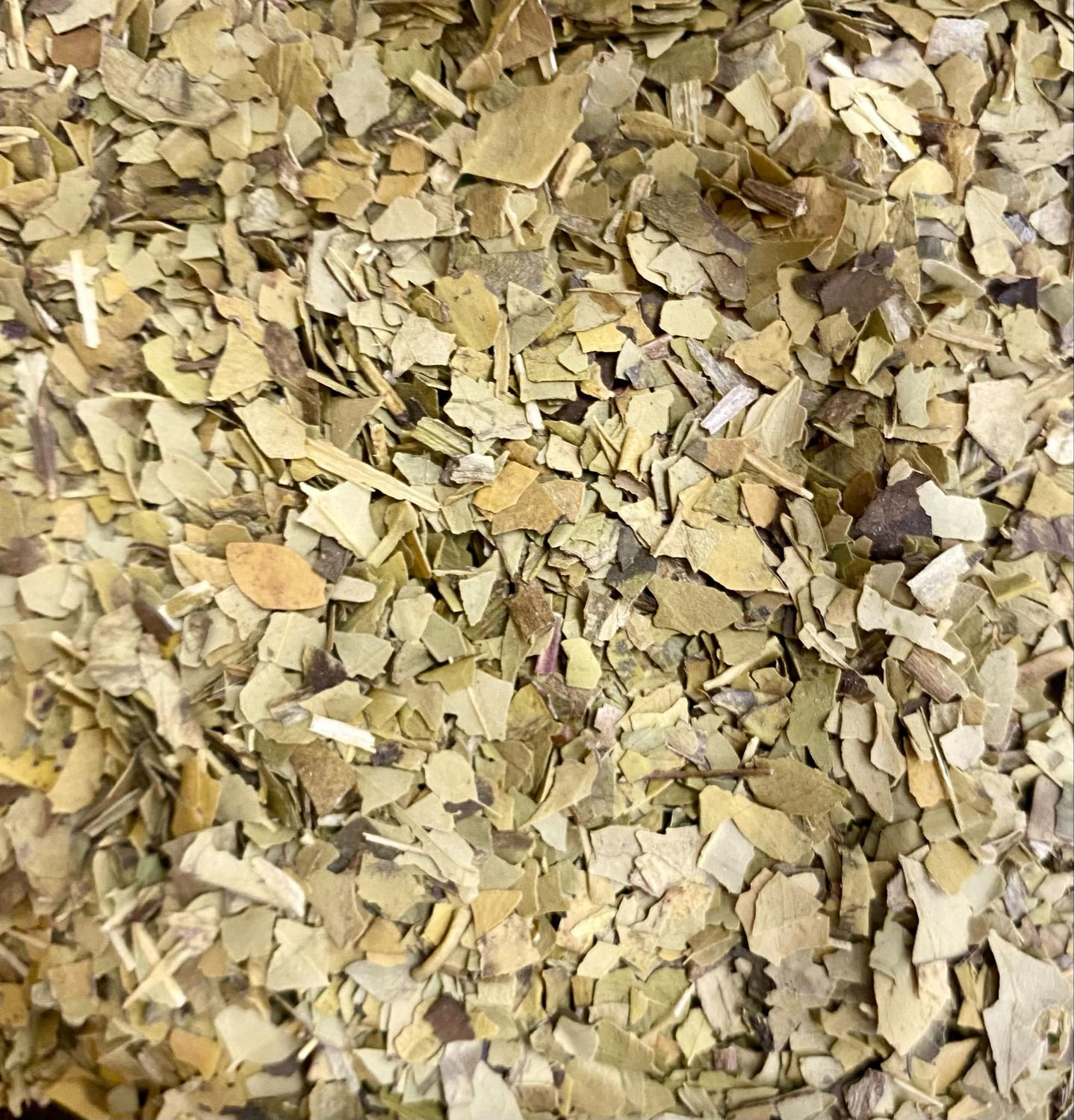 Yerba Mate, Organic