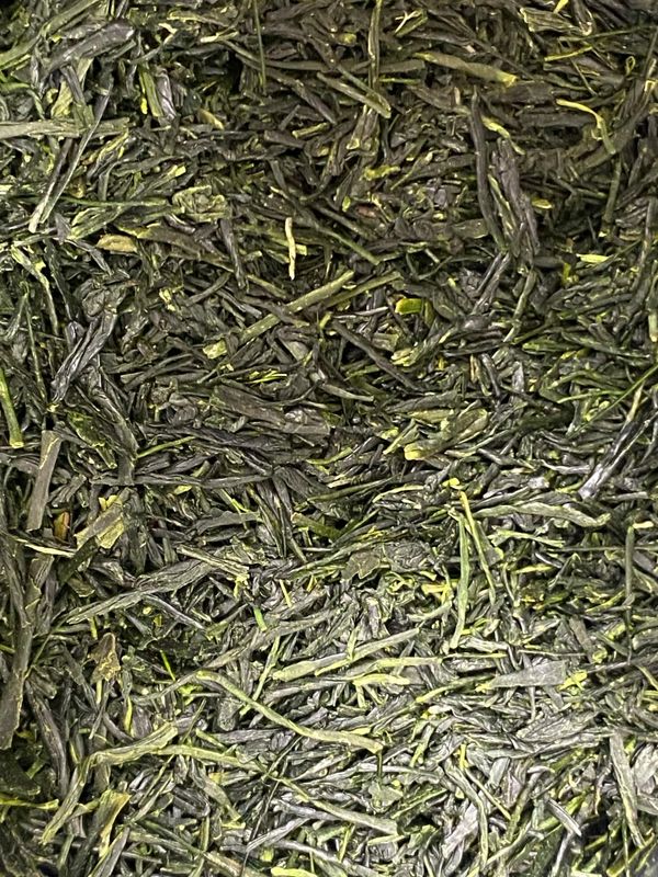 Gokujyo Uji Shincha