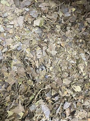 Fire Roasted Yaupon, Organic