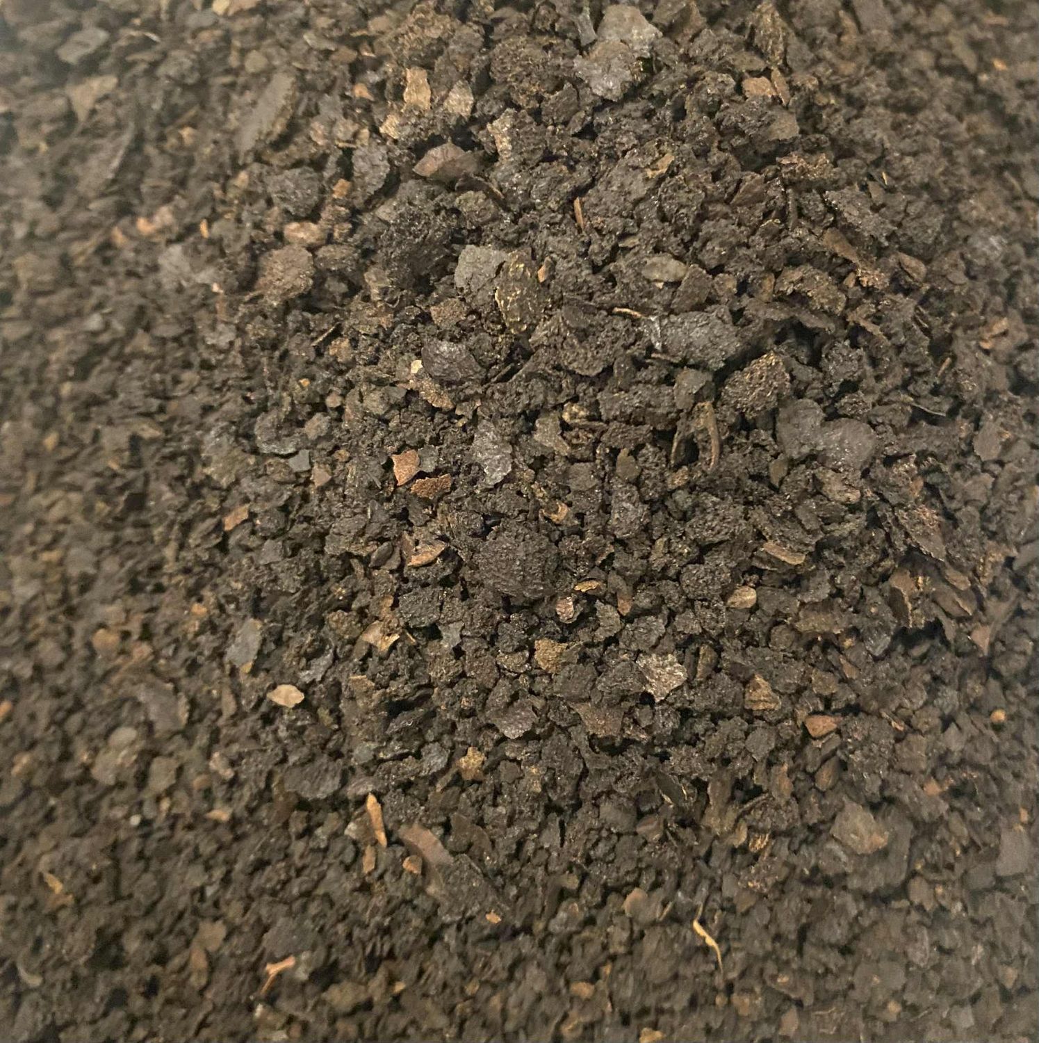 Black Walnut Hull, Wild Crafted