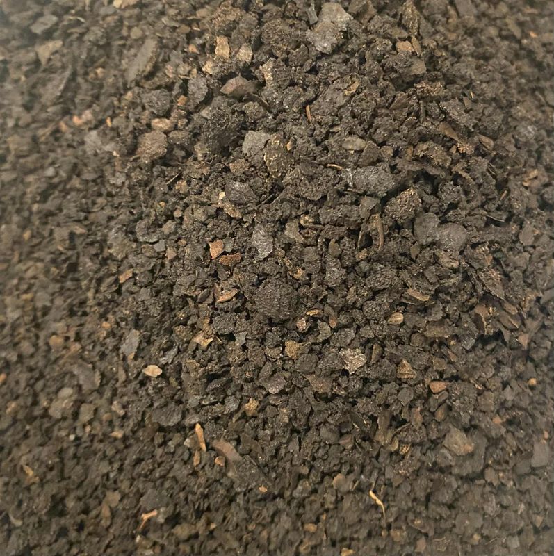 Black Walnut Hull, Wild Crafted