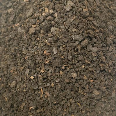 Black Walnut Hull, Wild Crafted