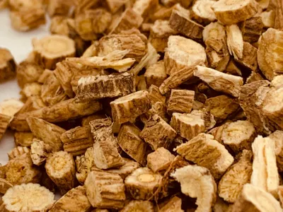 Astragalus Root