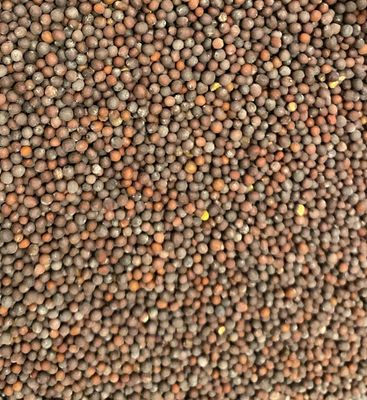 Mustard Seed, Brown Whole
