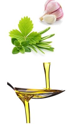 Tuscan Herb Extra Virgin Olive Oil 375ml