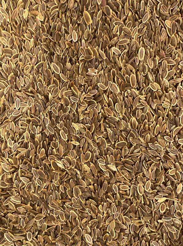 Dill Seed
