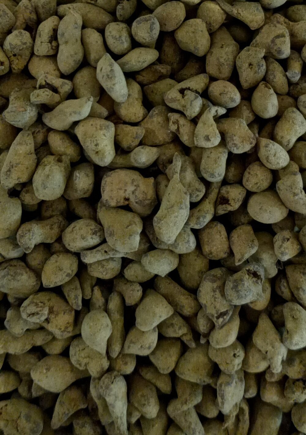 Imperial Ren Shen Ginseng Oolong