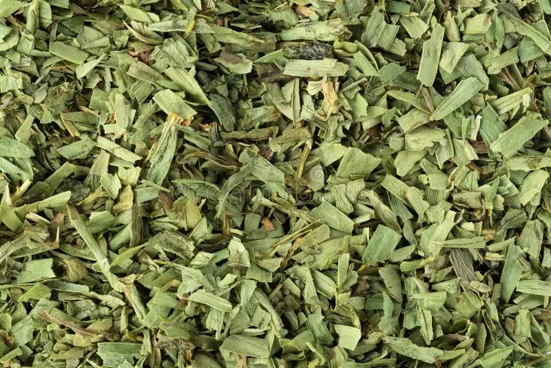 Tarragon