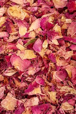 Rose Petals