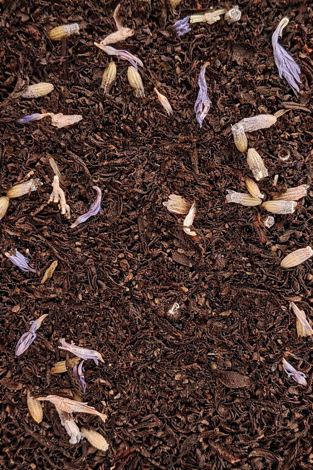 Lavender Earl Grey, Organic