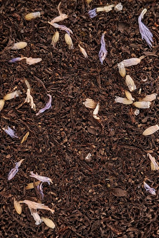 Lavender Earl Grey, Organic