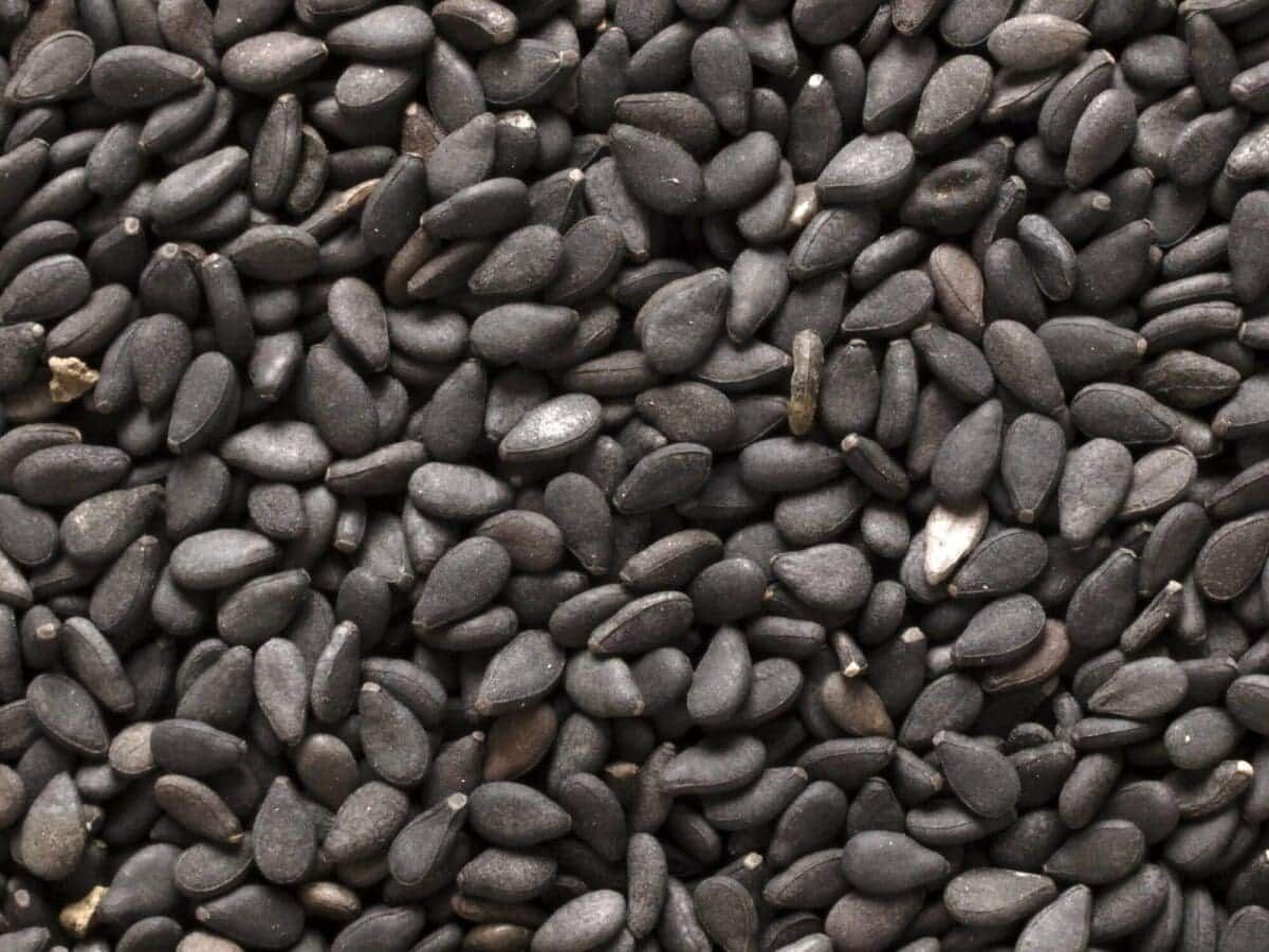 Sesame Seed, Black