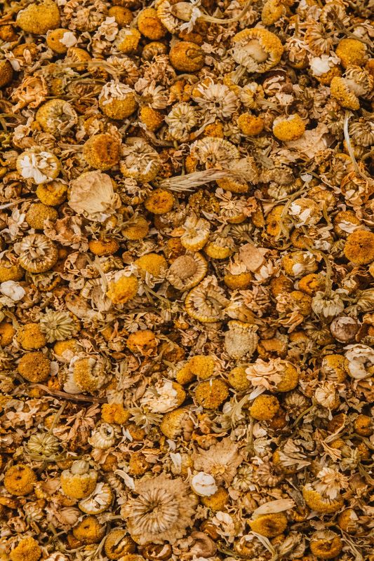 Chamomile, Organic