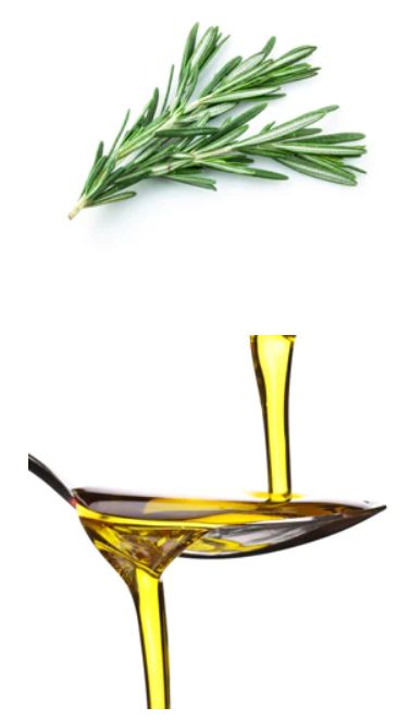 Rosemary Extra Virgin Olive Oil 375ml