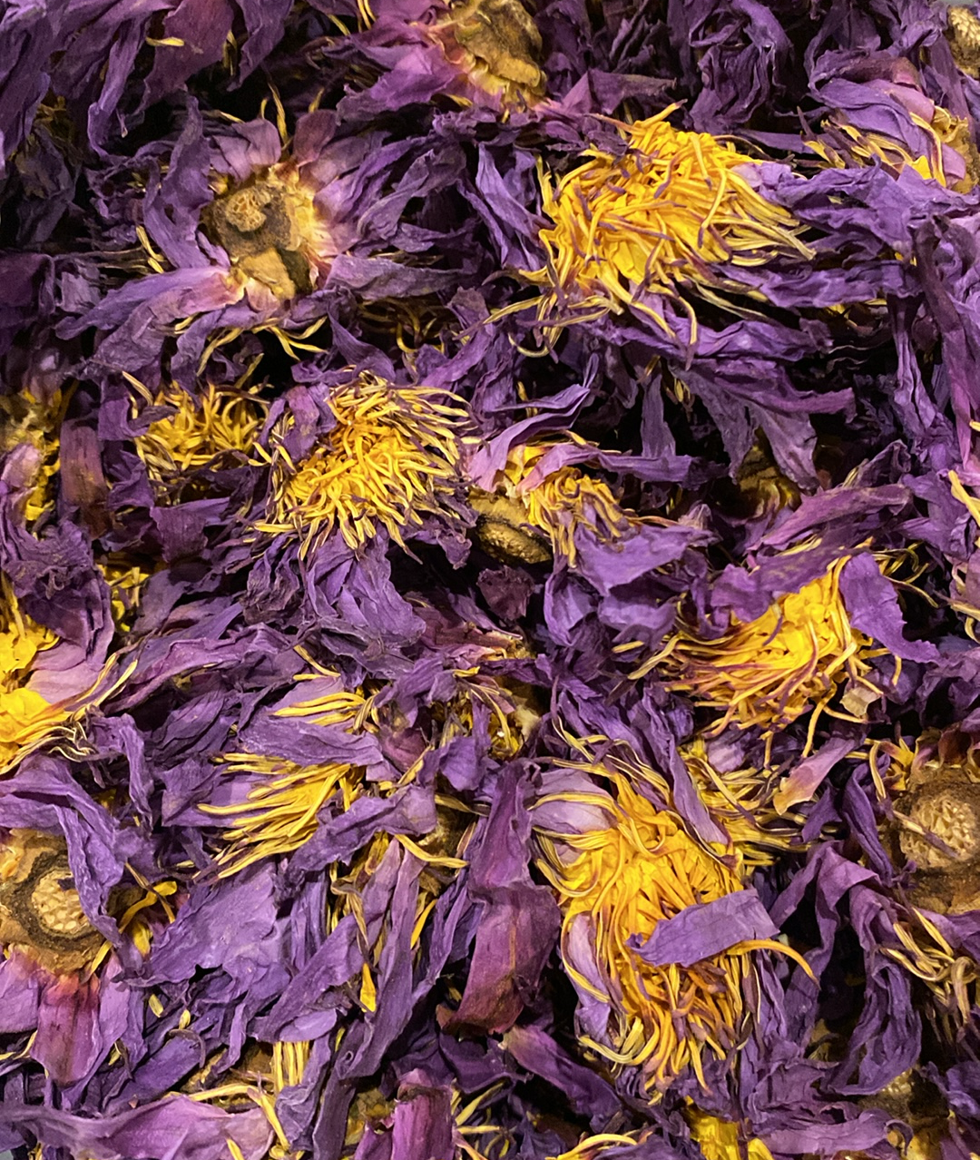 Blue Lotus Flower, Organic