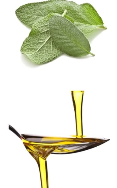 Sage Extra Virgin Olive Oil 375ml